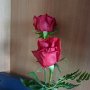 Roses for our room for being Elite Members